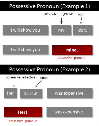 Possessive_Pronoun